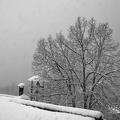 Chute de neige (A7-03983)