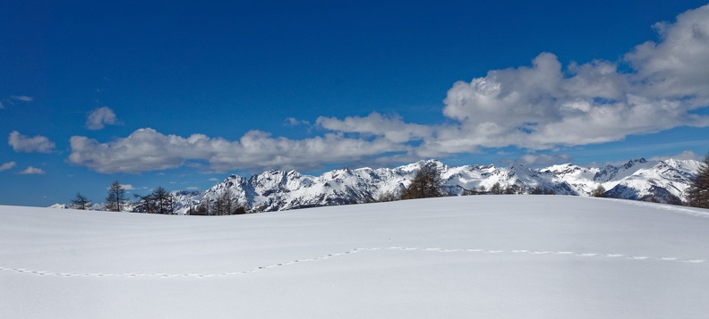 Panorama hivernal (77-12675)