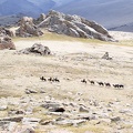 Altaï mongol : la caravane passe (10-B2735)
