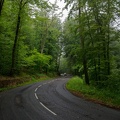 Route de forêt (A7-02568)