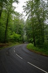 Route de forêt (A7-02568)